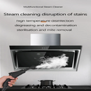 Kitchen Glass Steam Cleaner, Grease Remover, High-Temperature Carpet Sanitizer, Bathroom Bathtub Cleaner Household cleaning tools suitable for disinfecting and cleaning range hoods, air conditioners, and home appliances