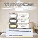 E27 with Remote LED 30W 40W Ceiling Fan Light Dimming Function Suitable for Living Room Study and Home Use 85-265V